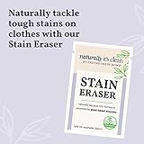 Naturally It's Clean Stain Eraser, Natural Enzymes Based/Biodegradable Instant Stain Removal, Spot Wipe Removes Wine, Coffee, Soda, Spills, Odor on Clothes, Bags, 60 Count (Pack of 1)