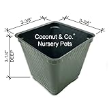 COCONUT & CO. 150 Square Plastic Nursery Greenhouse Plant Pots, 10 Plant Labels, Transplanting Guide & Seed Shaker Card Stage 2, 1 Pint, Made in USA, Food-Safe, No BPA, Seedling Containers