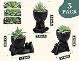 Der Rose 3pcs Fake Succulents Plants Artificial for Black Bathroom Bedroom Home Room Decor Aesthetic Indoor