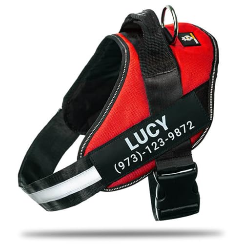 DOGGYKINGDOM Personalized No-Pull Dog Harness with Name Patch, Adjustable, Reflective, Padded, Heavy Duty Pet Vest to Prevent Tugging, Pulling, or Choking, Training and Walking, Red, M