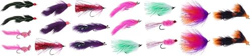 DiscountFlies Alaska Silver Salmon Fly Fishing Kit 20 Assorted Flies + Fly Box Realistic & Effective Salmon Flies on Daiichi Hooks