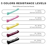 JOINTHERA Premium Latex Free Resistance Bands For Working Out | Non Latex Pull Up Assistance Power Bands Set for Men and Women | Exercise Workout Bands for Stretching, Fitness, Gym and Muscle Training