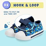 FUNCOO PLUS Boys Girls Sneakers Light Up Canvas Shoes for Toddler Kids Easy Fasten Fashion Shoes with Hook and Loops, Ocean Shark, Little Kid Size 11