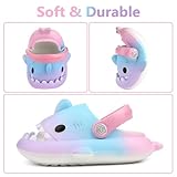 LAKIGE Toddler Shark Cloud Slides | Kids Shower Sandals | Boys Girls Cute Cartoon Fish Flip Flops | Beach Pool Home Slippers Shoes | Quick Dry Non-Slip