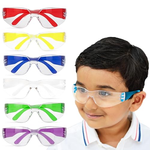 BISON LIFE Safety Glasses for Kids 12 Pack | ANSI Z87 Impact and Scratch Resistant, Clear Lens Assorted Color Temples, Child Youth Size Science Glasses Variety Pack