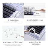 ANNAFRIS 8D Premade Fan W Shape Eyelash Extensions 0.07 C Curl 9-13mm Mix Volume Self Fanning False Lashes Makeup Supplies Professional Use Lash Extension(0.07 C, 9-13mm Mix)