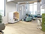 NOOK Air, Quiet Meeting and Work Pod, Portable, Acoustic Panels, Table, Two Benches, Lockable Casters, Storage Space, Versatile, 1-Year Warranty, (77” H x 79” W x 30” D) - White…