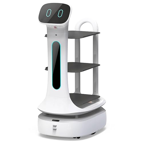 Autonomous Food Delivery Robot for Hotels and Restaurants with Automatic Obstacle Avoidance and Self-Charging Features