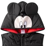 Disney Mickey Mouse and Pluto Boys Long Sleeve Shirt, Hooded Vest and Pants Set for Infant and Toddler