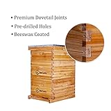 BeeCastle 10 Frame Langstroth Bee Hive Coated with Beeswax Includes Beehive Frames and Waxed Foundations (2 Deep Boxes & 1 Medium Box)