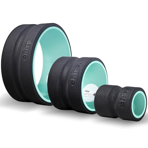 Chirp Wheel Foam Roller - Targeted Back Foam Roller for Back Pain Relief, Deep Tissue Muscle Massage, Trigger Point Round High Density Foam Roller for Physical Therapy & Exercise, 3-Pack Mint