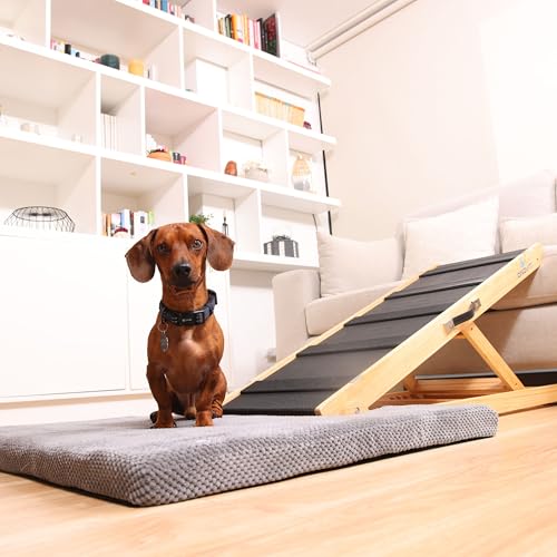 Dog Ramp for Couch - 14" to 24" Adjustable Pet Ramp for Bed - Dog Ramps for Large Dogs - Pet Ramps for Small Dogs - Comes with LED Lights & PawSafe Cushion - Non-Slip Rubber Surface - Up to 220 lbs