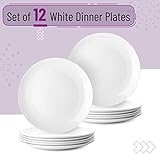 BTaT- White Dinner Plates, 10.5 inch, Set of 12, White Plates, White Dinner Plates Bulk, White Plate Set, Plates, Dinner Plates, Plates Set, Restaurant Dishes, White Porcelain Dinner Plates