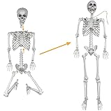 5.4ft/165cm Halloween Skeleton,Life Size Skeleton Plastic Full Body Human Bones with Movable Joints for Halloween Patio Lawn Yard Garden Party Prop Decoration