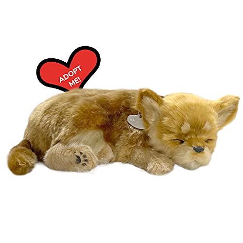 Original Petzzz - Chihuahua, Dog Toys for Kids and Elderly, Realistic Stuffed Dog, Battery-Operated Companion Pet with Synthetic Fur