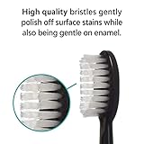 TAO Clean Umma Diamond Sonic Toothbrush Replacement Heads (3-Pack) – Replacement Heads for the TAO Clean Electric Toothbrush and Docking Station, Black