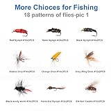 Ansnbo 36 pcs Fly Fishing Flies Kit, Hand Tied Trout Bass Fly Assortment with Fly Box, Dry Wet Nymph Flies Streamers Fly Fishing Gear