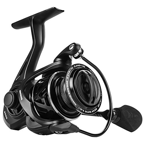 KastKing Zephyr Spinning Reel,Size 3000 Fishing Reel, Light Weight Ultra Smooth Powerful Spinning Fishing Reels