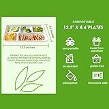 Vplus 100% Compostable 5 Compartment Paper Plates, 100 Pack, 12.5 x 8.6 inch Disposable School Lunch Trays, Eco-Friendly Bagasse Plates for Buffet, and Party