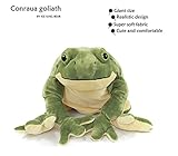 Ice King Bear Plush Giant Frog Stuffed Animal Soft Toy, 22 Inches Large, Green