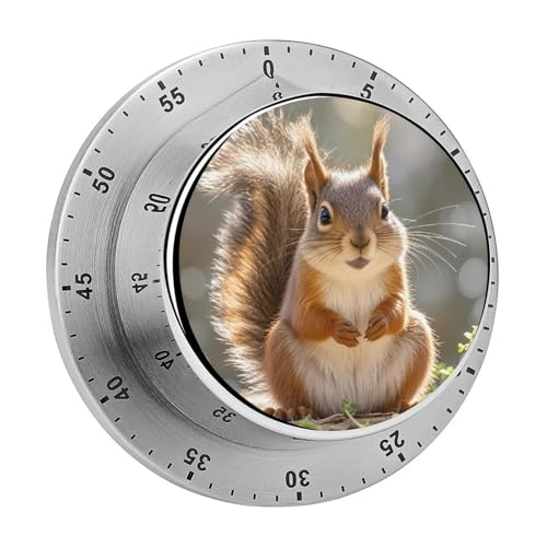 Funny Squirrel Egg Timers for Kitchen Mechanical Kitchen Timers, 60 Minute Visual Countdown Timer with Alarm, Loud Timer for Hard of Hearing, No Batteries Required, for Cooking Classroom Gym