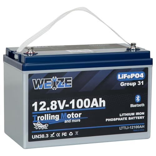 Weize 12V 100Ah TM Bluetooth LiFePO4 Lithium Battery, Built-in 120A BMS, Low-Temp Protection Group 31 Deep Cycle 500A/3S Peak Discharge Battery for Trolling Motor, Marine, Boat, RV, Solar