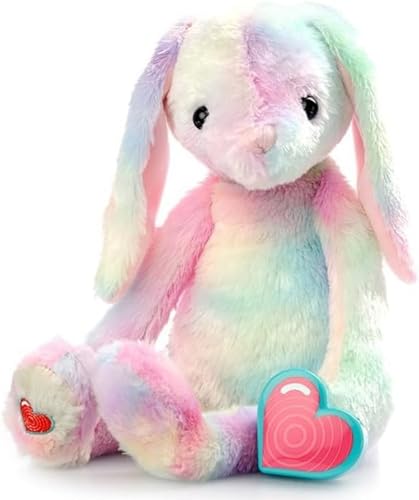 MBHB Digital Voice Recorder Animal w/20 Second Recorder, Dictaphone to Capture Baby's Heartbeat During Pregnancy + Ultrasound, Not a Medical Device, Tiedye Bunny