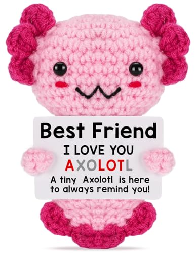 Weming Friendship Gift Crochet Axolotl, Tiny Handmade Present for Best Friend, Sisters, Coworker Work Bestie, Funny for Birthday, Valentines, Christmas, Easter, Mother's Day, Graduation