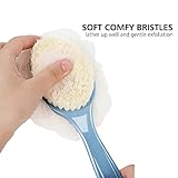 Shower Body Brush with Bristles and Loofah,Back Scrubber Bath Mesh Sponge with Curved Long Handle for Skin Exfoliating Bath, Massage Bristles Suitable for Wet or Dry, Men and Women (Blue)