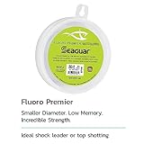 Seaguar 40FP25 Fluorocarbon Premier Leader Material, 40-Pound, 25-Yards