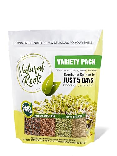 Variety Pack Sprouting Seeds. One Pound. Includes one Pack of Broccoli, Alfalfa, Radish & Mung Beans. for Sprouts and Microgreens. Non-GMO. Seeds for Jar or Trays. Each Pack is a Quarter Pound