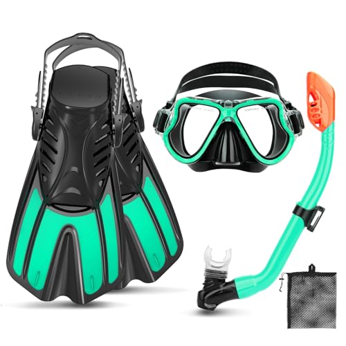 CTSAYTL Snorkeling Gear for Kids Ages 6-14, 4 in 1 Kids Mask Fins Snorkel Set with Panoramic View Anti Fog Mask, Dry Top Snorkel, Trek Fins and Travel Bag, Kids Snorkel Set for Youth Teens Junior