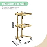 Multifunctional 2-Tray Utility Cart on Wheels - Gold 2-Level Medical Trolley Cart - Mobile Storage Tray Cart for Dental Tools, Cavitation Machine, Salon Supplies - Brass Foldable Storage Trays