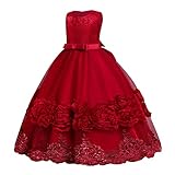 Girl Vintage Sleeveless Embroidery Princess Dress 3D Flower Girls Lace Bridesmaid Long Dress Wedding Pageant Formal Party Maxi Gown Kids Prom Communion Puffy Tulle Ball Gowns Red-Bowknot 11-12 Years