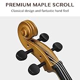 Ktaxon Full-Size Cello, Beginner Cello 4/4, Acoustic Cello Set with Portable Bag, Bow, Rosin, Bridge, Adults & Kids String Musical Instruments(Matte Golden)