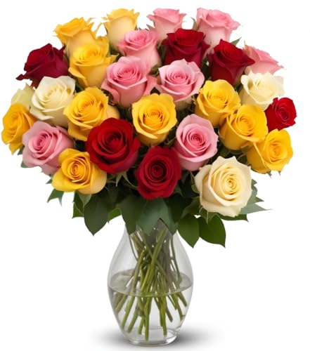 25 Rainbow Roses Assorted Mixed Color | Arabella Bouquets | Real Fresh Flowers for Delivery, Gift for Birthday, Women, Congratulations, Anniversary, Thank You, Mothers Day