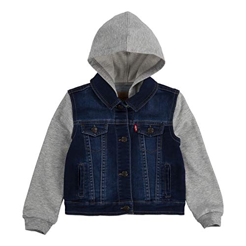 Levi's Baby Boy's Hoodie, Indigo Dusk, 24M