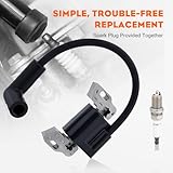 Hipa 593872 Ignition Coil for Briggs Straton 593381 799582 798534 Armature Magneto 08P502 09P602 09P702 450E 550E Series Engine Craftsman Lawn Mower