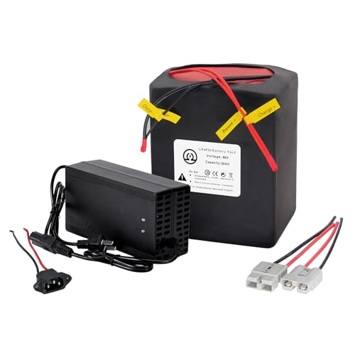 BtrPower 60V 20AH LiFePO4 Ebike Battery Pack with 5A Fast Charger and 50A BMS for 250W - 1800W Motor