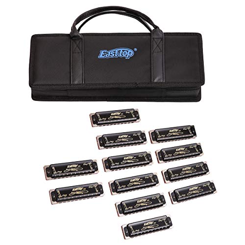 Harmonica Set 12 key blues harp 008K Professional Diatonic Harmonicas 10 Holes 20 Tones Harmonica for Professional Player,Beginner,Students,Children with Black Gift Bag (black-12 keys)