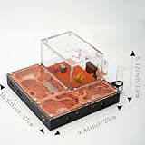 Rimsunta Ecological Ant Nest - Modular Ant Farm with Magnetic Glass Covers, Humidity Control, Ventilation, and Expansion Ports - Perfect for Ant Enthusiasts (10.63 x 9.84 x 5.12 inches)