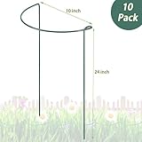 Behidiruch 10 Pack Plant Support Stakes, 4 mm Thick 24 Inch Half Round Metal Garden Stakes, Plant Support Cages Ring for Peony Tomato Hydrangea Rose Flower Indoor Outdoor (10" Wide x 24" High)