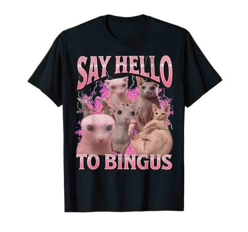 Say Hello To Bingus Funny Sphinx Cat Meme Bootleg Graphic T-Shirt