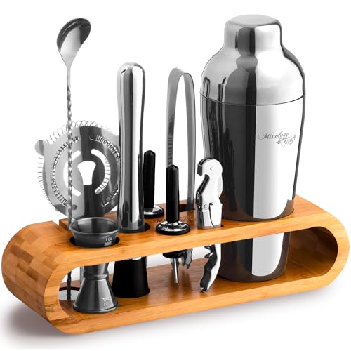 Mixology Bartender Kit: 10-Piece Bar Tool Set with Bamboo Stand | Perfect Home Bartending Kit and Martini Cocktail Shaker Set for a Perfect Drink Mixing Experience | Fun Housewarming Gift (Silver)