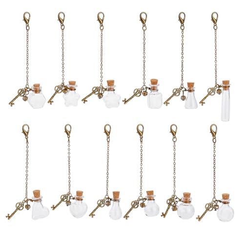 PH PandaHall 12pcs 12 Styles Mini Glass Bottles Key Chain Pendants, Small Clear Wishing Bottles Antique Bronze Keychian Pendants Lobster Claw Clasps Chain for Necklaces Earrings Jewelry Making