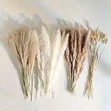 Dried Pampas Grass Bouquet, Boho Dried Flowers Decor for Western Home, Bedroom, and Wedding Table Décor, 67 Stems