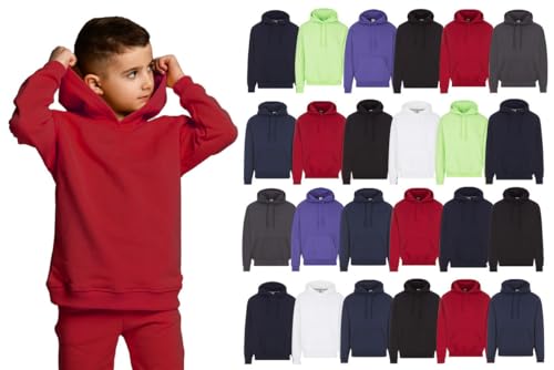 BILLIONHATS 24 Pack of Wholesale Kids Hoodie Sweatshirts Bulk Hoodies for Children, Warm Hooded Shirt Boys Girls Unisex, Donations Camp