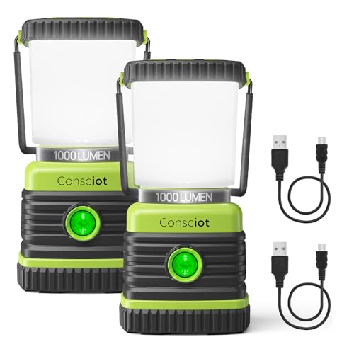 LED Camping Lantern Rechargeable, Consciot Camping Lights, 1000LM, 4 Light Modes, 4400mAh Power Bank, IPX4 Waterproof, Dimmable Tent Lights for Emergency, Power Outages, USB C Cable Included, 2 Pack