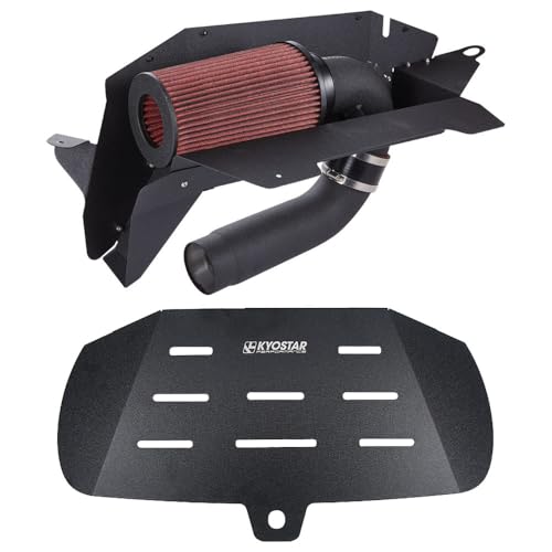 Cold Air Intake Kit Compatible with 2013-2016 BMW 228i F22/320i/328i F30/420i/428i F32-2.0T N20/N26 Turbo Engine (Black-1)