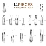 BULK PARADISE Small Vintage Glass Bottles with Corks, Mini Vases, Decorative Glass Bottle, Potion Bottles, Assorted Design - Set of 14 assorted design 5oz 6.5-7 inch tall 1.8-2.inch wide.